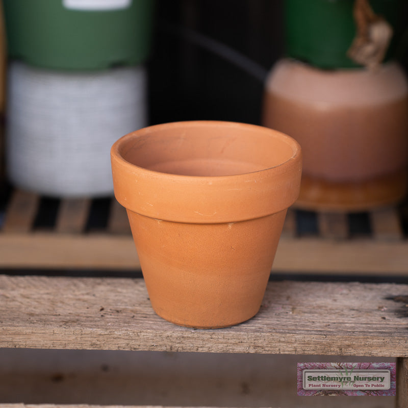 Terra Cotta 4 Pot