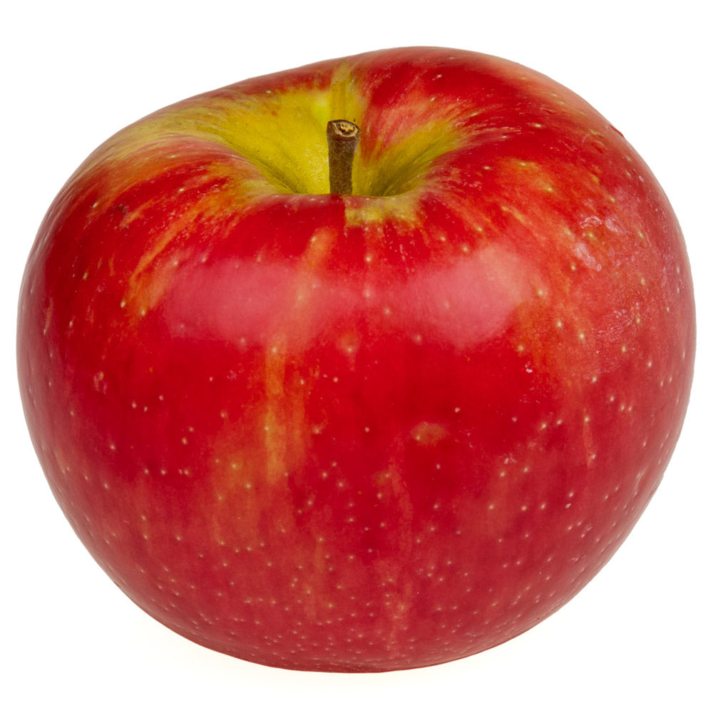 Apple Tree Honeycrisp