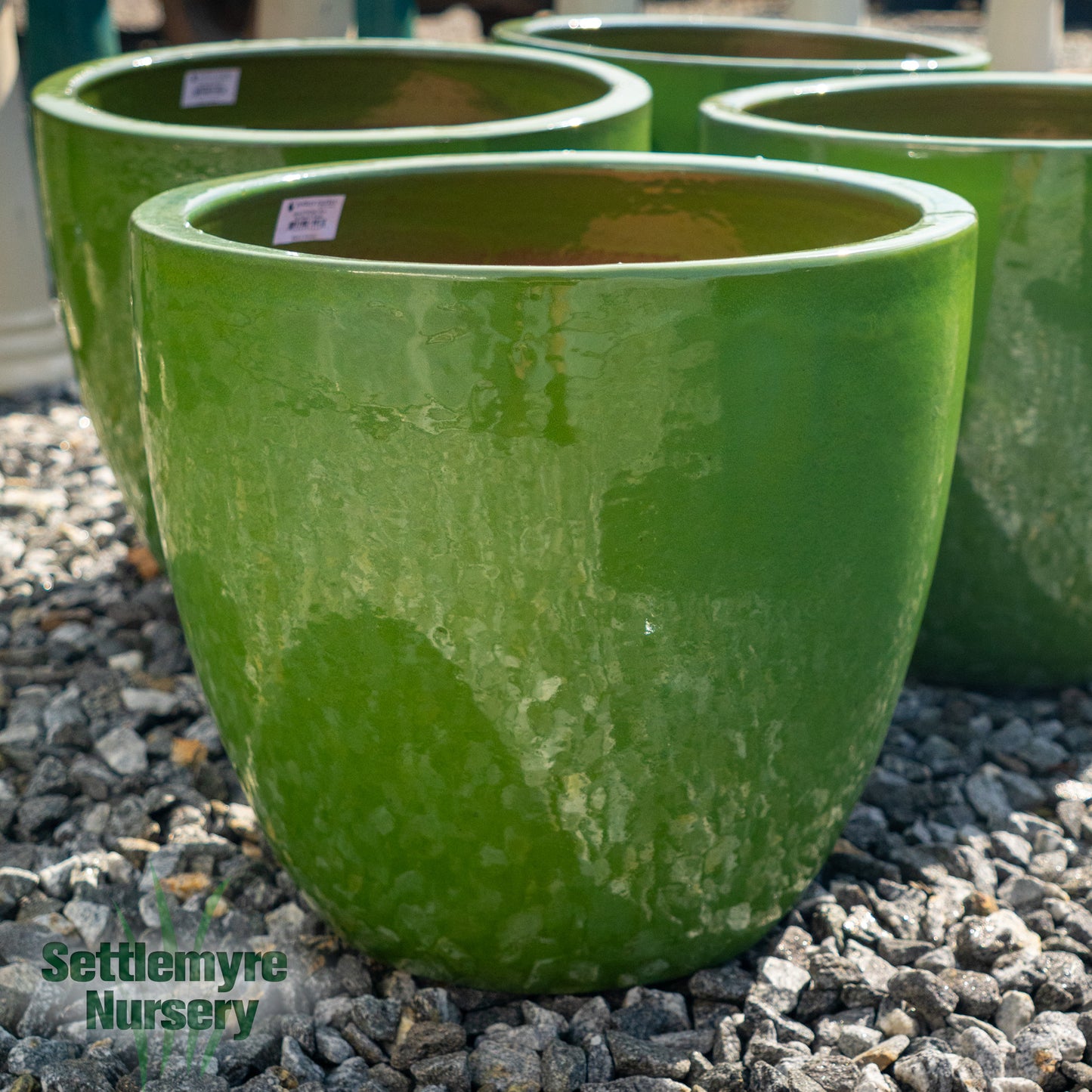 Egg Planter LG 19 Wasabi