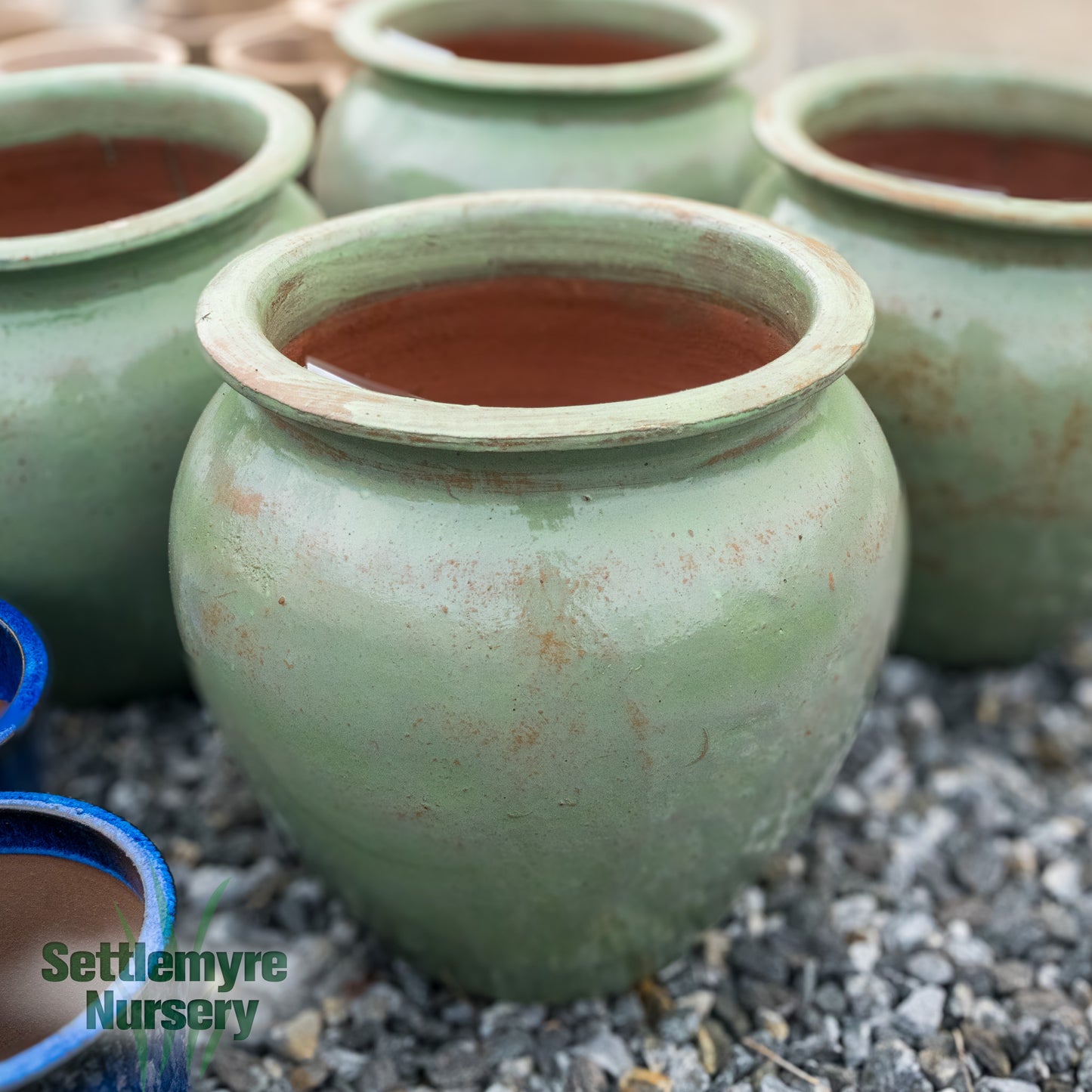 Miel Pot Rustic Mint
