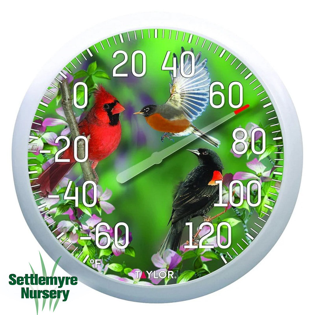Taylor Thermometer Spring Birds 13"
