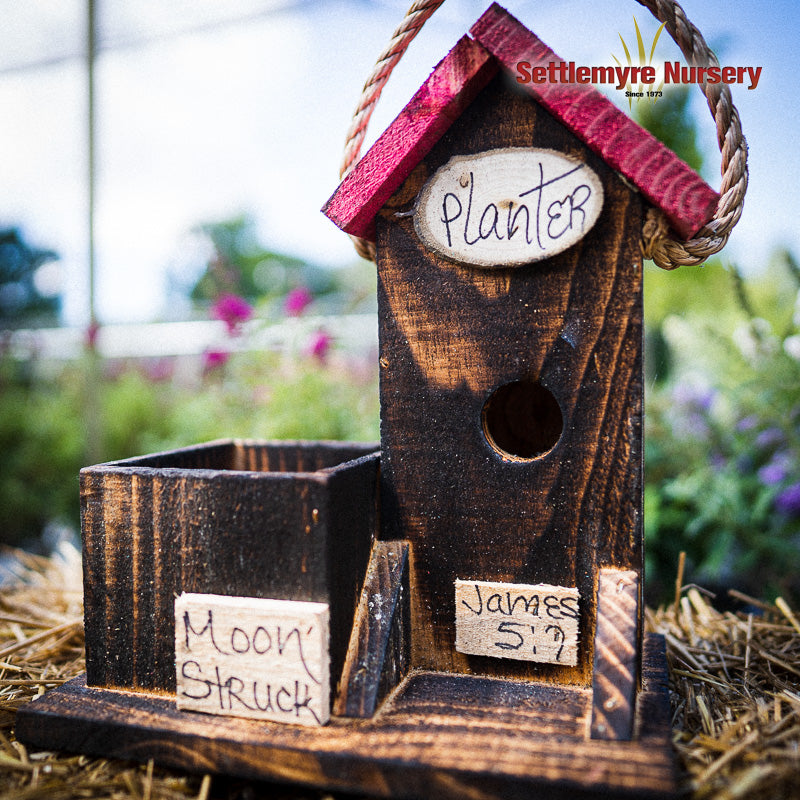Birdhouse Planter