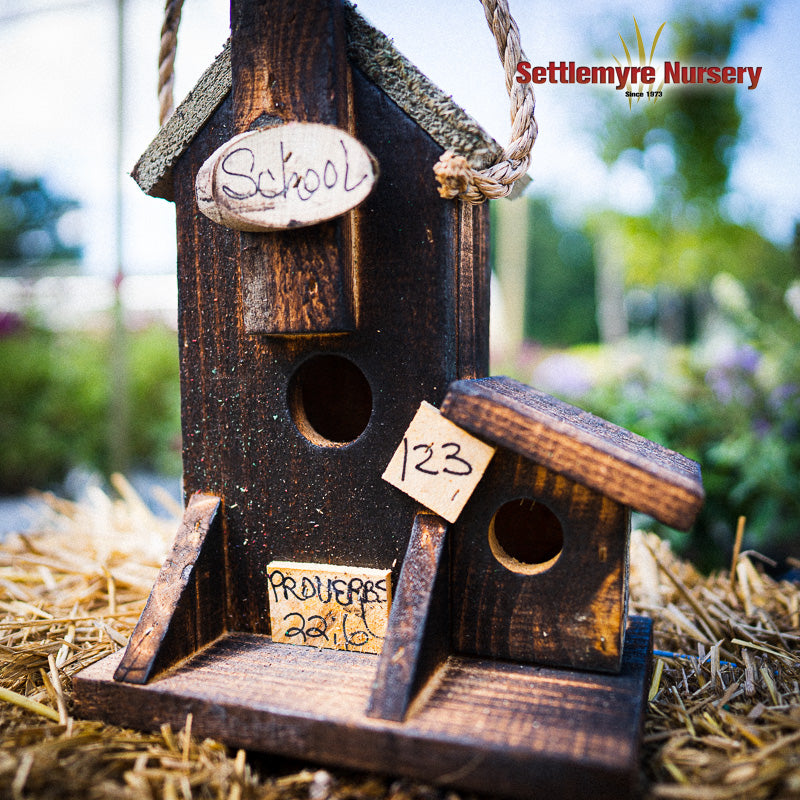 Birdhouse School