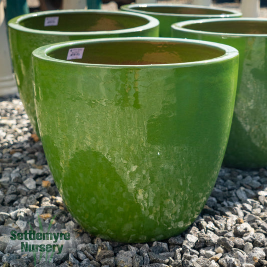 Egg Planter LG 19 Wasabi