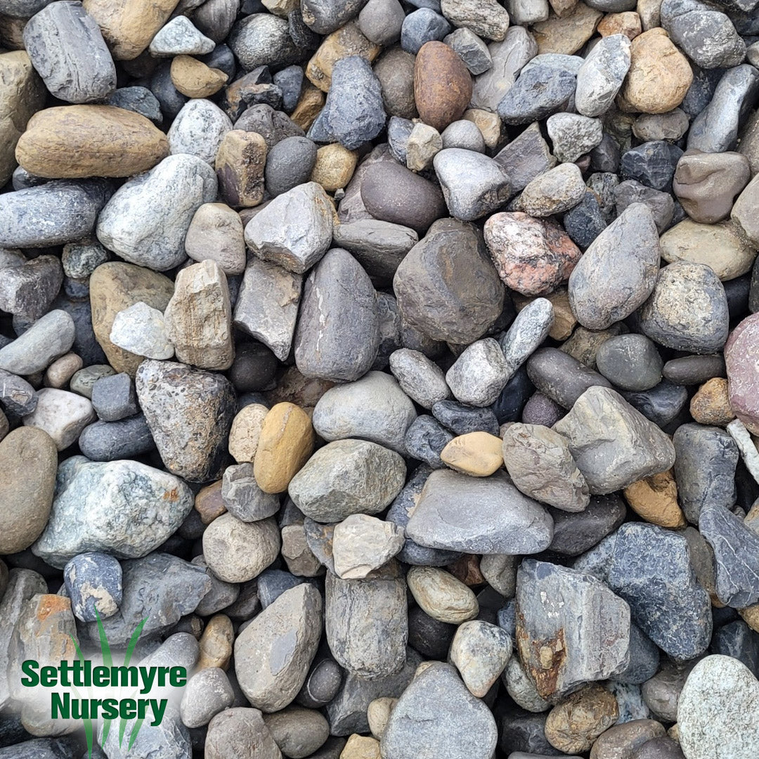 Stone PA River Jack 1-3 in