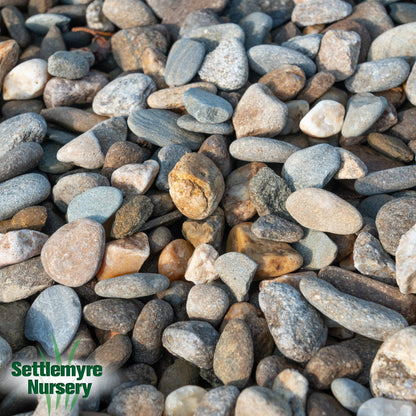 Squirell Creek River Rock 3/4 in