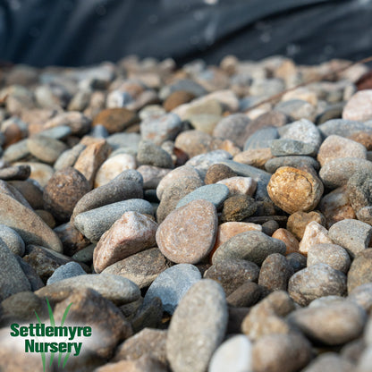 Squirell Creek River Rock 3/4 in