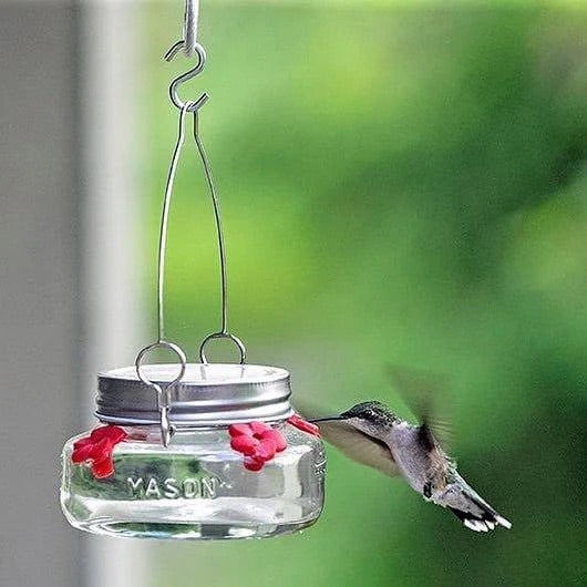 Hummingbird Feeder Mason Jar