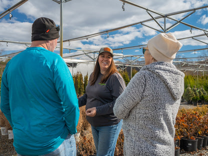 On-site Consultation